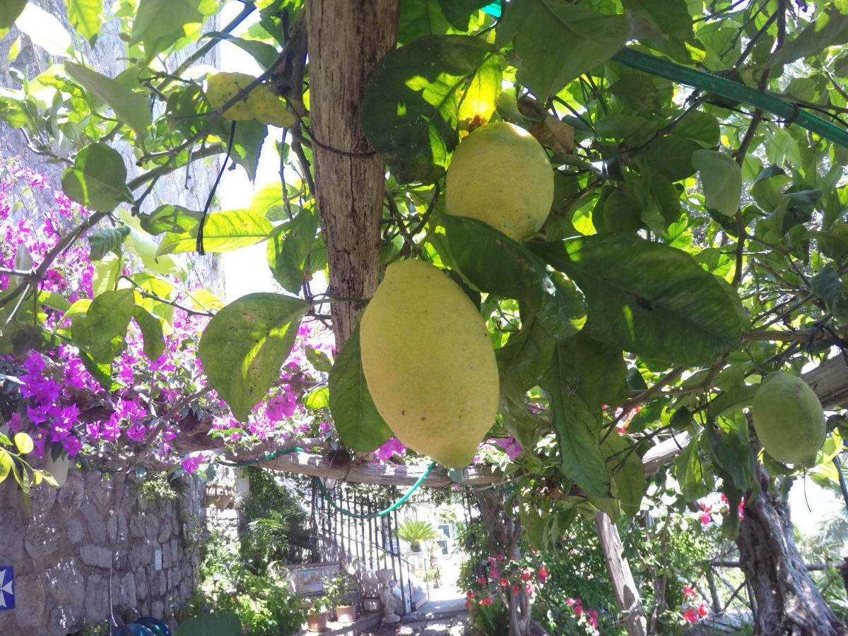 Casa Hermosa Amalfi Eksteriør billede