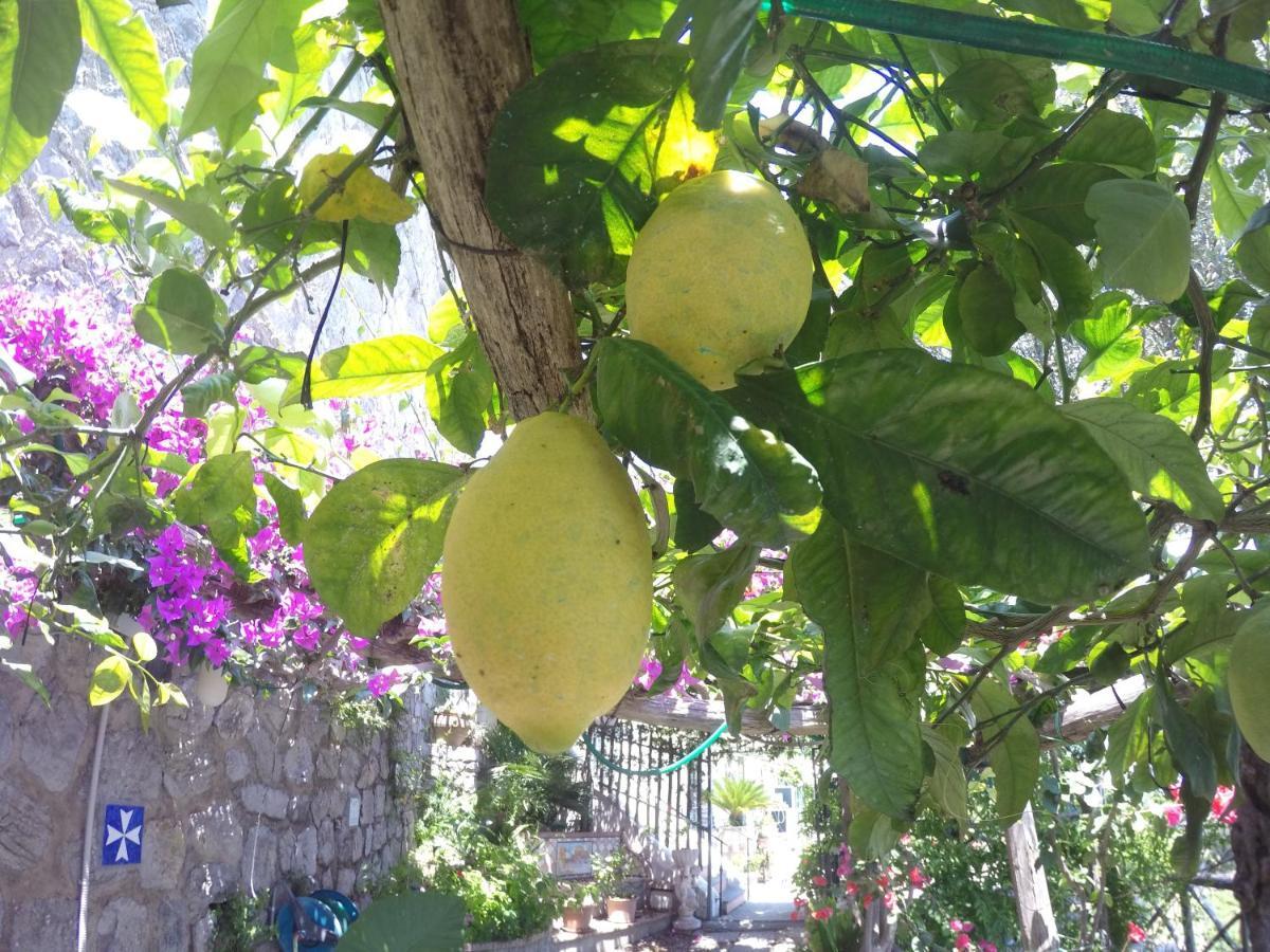 Casa Hermosa Amalfi Eksteriør billede