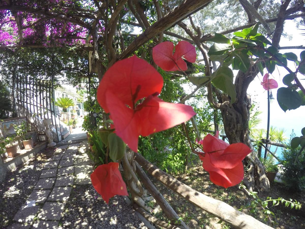 Casa Hermosa Amalfi Eksteriør billede